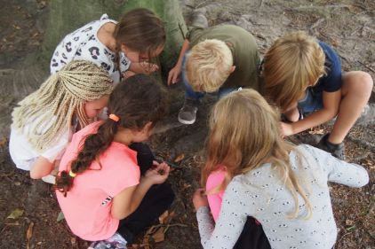 Ontdekken in het park...